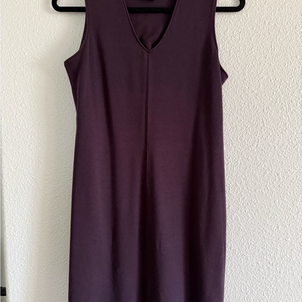Sleeveless V-Neck Plum Shift Dress Express